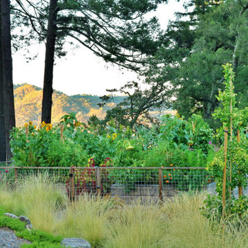 Mt. Veeder Residence