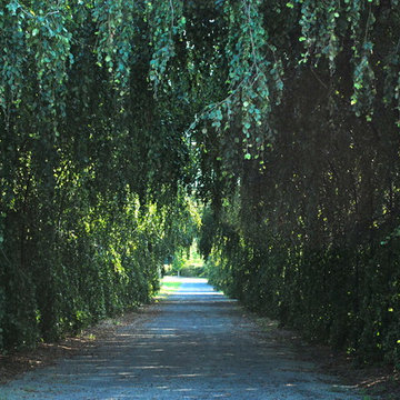 New Jersey Estate and More....