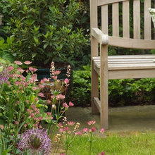 garden ideas