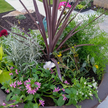 Planter Boxes