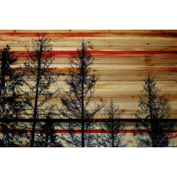 "Pine Forest Trees" Print on Natural Pine Wood, 45"x30"