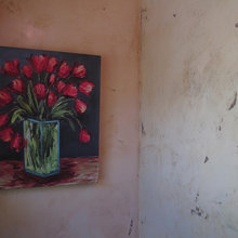 walls