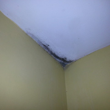 Mold on a bedroom ceiling