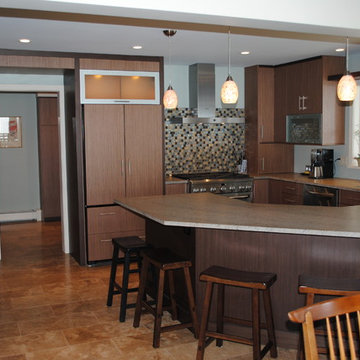 Contemporary Kitchens