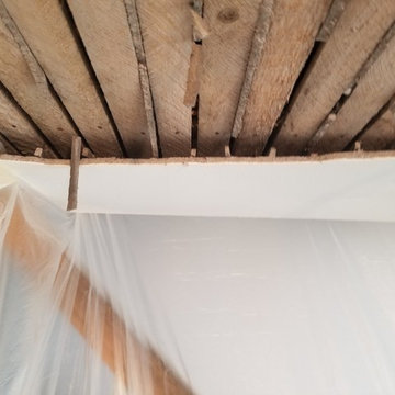Plaster Repair
