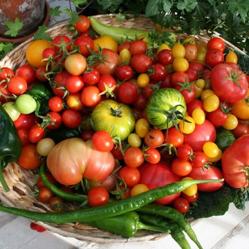 Potager