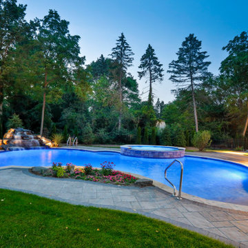 Naperville, IL Freeform Swimming Pool with Raised Hot Tub
