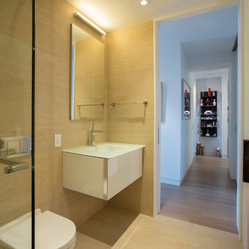 Collector's Apartment