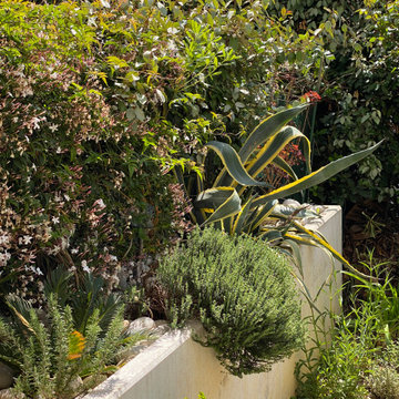 La garrigue en rez-de-jardin