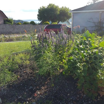 Edible Front Yard
