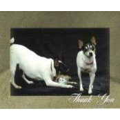 Bernie Garrison's photo