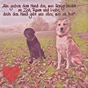 Bianca Schöfer's photo