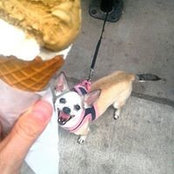Amanda Sabatini's photo