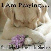 Tammie McCuin's photo