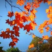 Stacy Carlson Findlay's photo