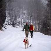 Paul Jacob's photo