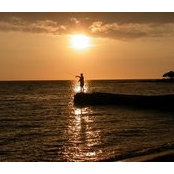 Ken Francisco's photo