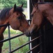 Stephanie Forrer's photo