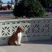 Marilyn Cepaitis's photo