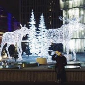 Sandra Shoukralla's photo