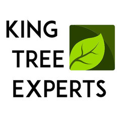 King Tree Experts