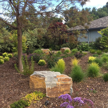 Front Lawn Removal - Craftsman Home in Los Altos