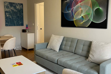 Cette image montre un salon minimaliste.