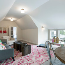Urban Cabin Dormer