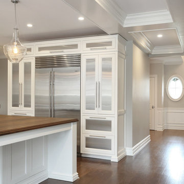 Stainless Steel Cabinet Panels - Transitional White Kitchen