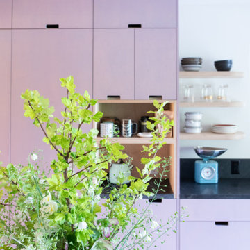 Purple Cabinets