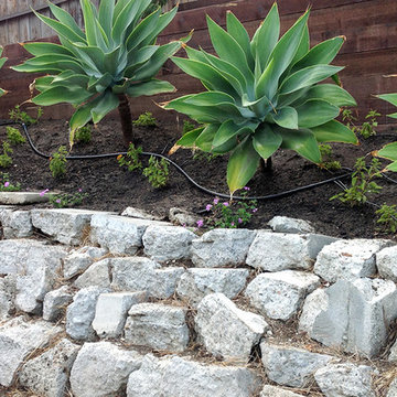 Rock Garden Wall