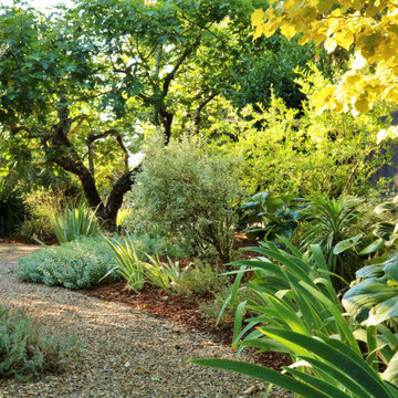 St. Helena Residence