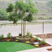 Front Yard Landscaping Ideas