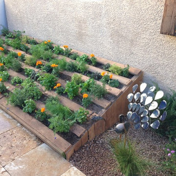 Peacocks and Pallets