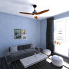 Curtiss 52" LED Ceiling Fan Matte Black and Brushed Silver