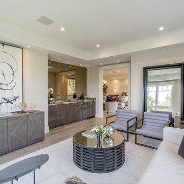 Transitional Living Room