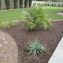 New Yard