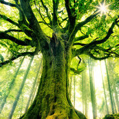 Matthew Tieger's photo