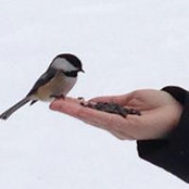 Amy Jo Wallace's photo