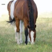 Missy Imperato Stabile's photo