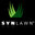 SynLawn Colorado