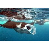 Nancy Shah's photo