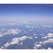 David Burrows's photo