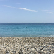 Roxe As foto