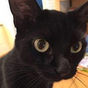 Sandra Krein's photo