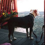 Cynthia Daniel's photo