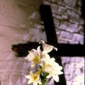 Kurt Kuhlmann's photo