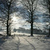 Foto von Ann Whalen