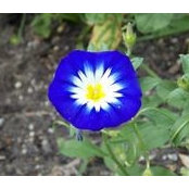 Jeni Rawlings's photo