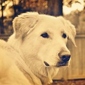 Bridgette Loiselle's photo